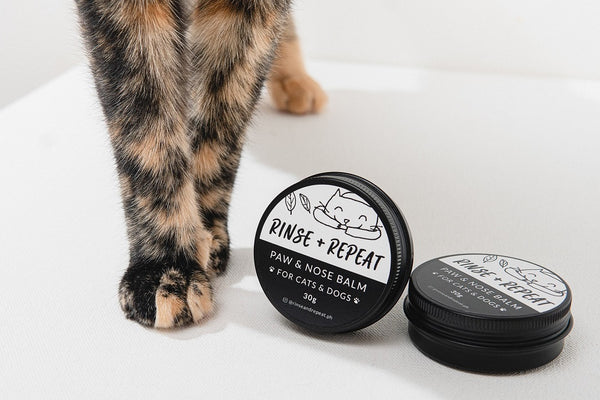 Paw Balm for Cats & Dogs
